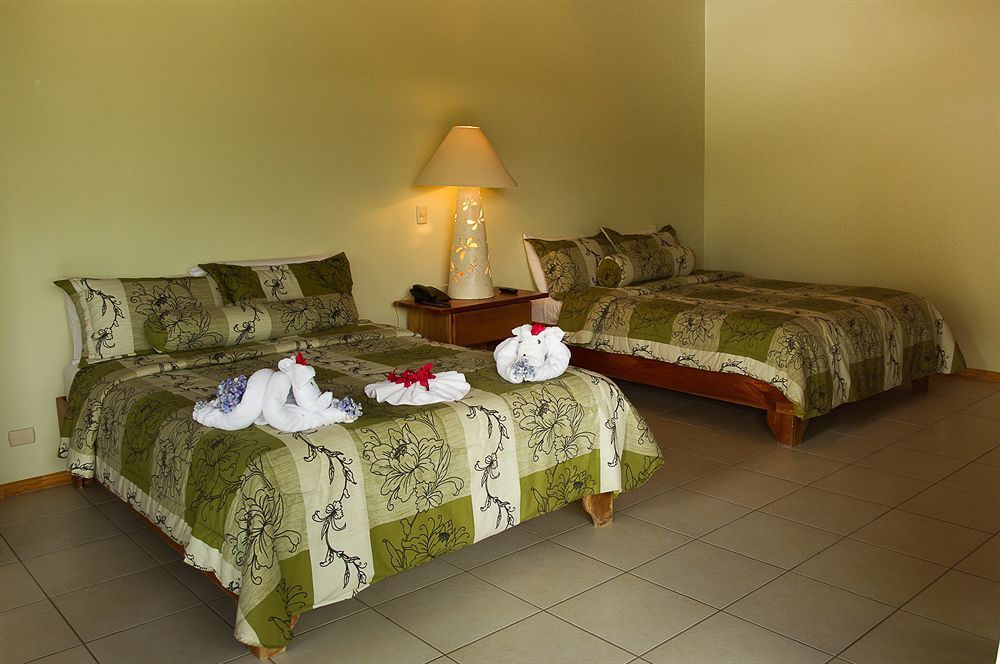 Ficus Lodge Monteverde Εξωτερικό φωτογραφία